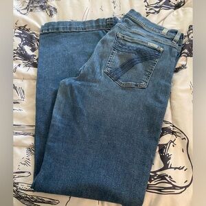 7 for all mankind dojos 31x33